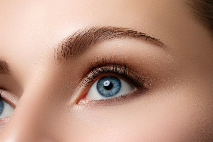 York-Brows-and-Lashes-PamperTree
