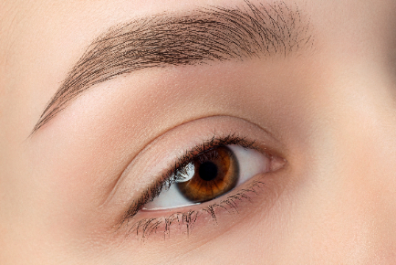 Kenton Brows and Lashes PamperTree