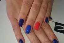 Gallery for  Bellitudo