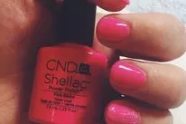 Gallery for  Bellitudo