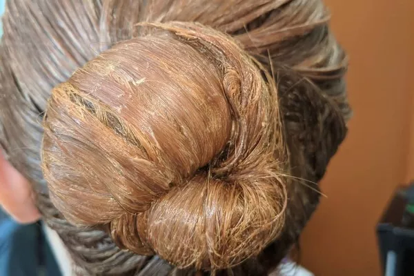 Gallery for  Ray of Ginger