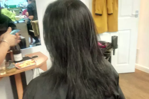 Gallery for  Tropic Beauty - Bristol