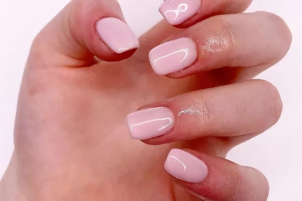 The Little Beauty Company Banner