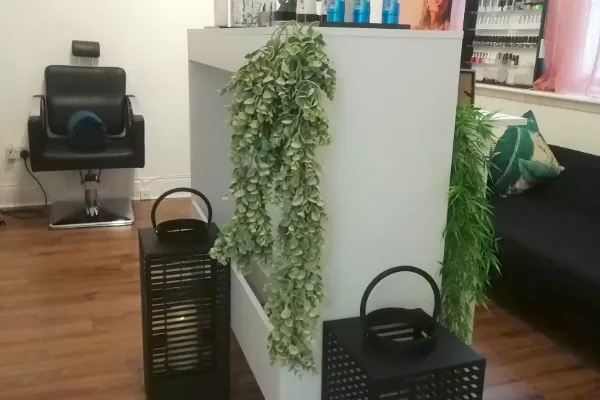 Tropicoco Tropicoco Banner