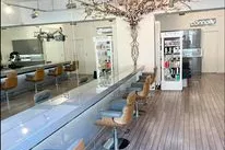 Holly Deans Hairdressing Banner