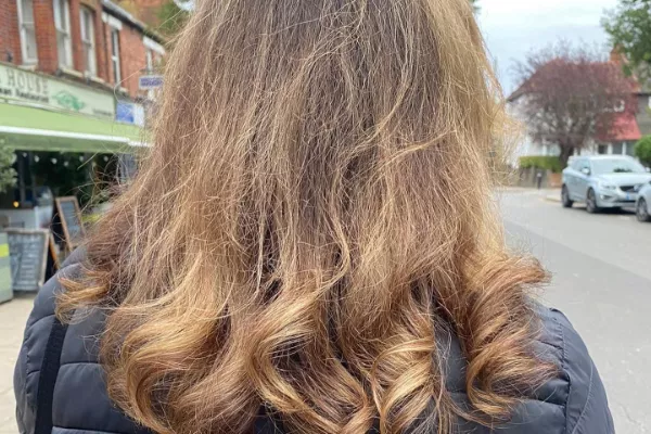 Gallery for  The Beauty Maya