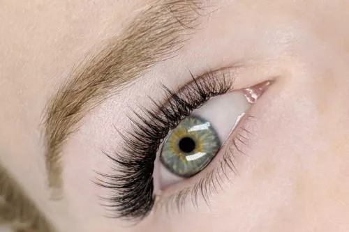 Lash & Brow Secrets Studio Lash & Brow Secrets Studio Banner