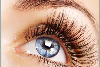 Gallery for  Ascot Lash Company