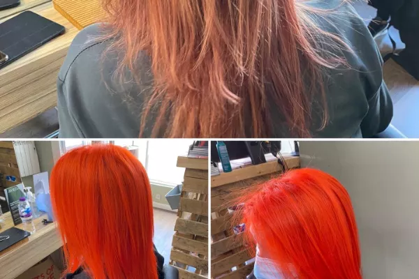 Gallery for  Avocado Hair & Beauty
