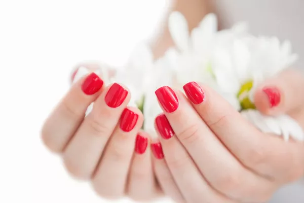 Gallery for  The Little Beauty Rooms Northallerton