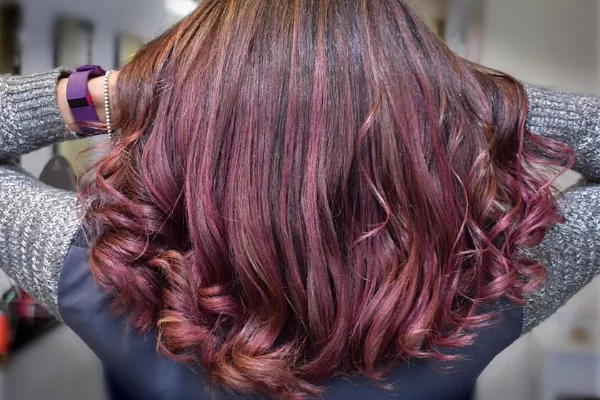 Gallery for  Ed's Hair - Bramhall