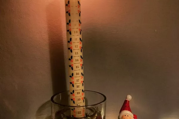 Gallery for  Purple Turtle Therapy