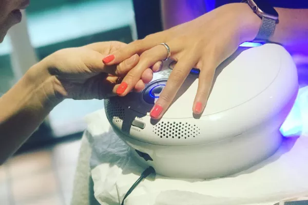 Gallery for  Preened