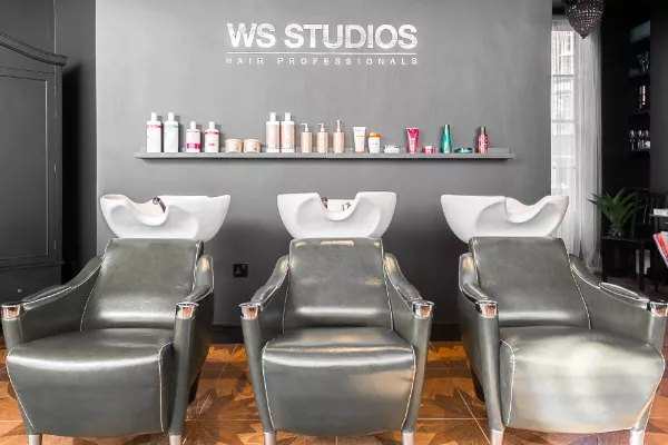 WSSTUDIOS Hair Professionals Banner