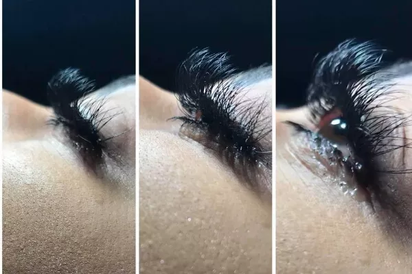 Gallery for  Han-Aesthetics