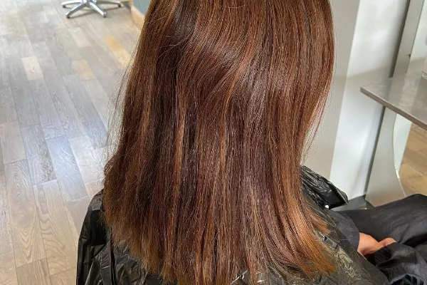Gallery for  Bamboo Hair & Aesthetic
