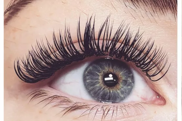 Lashes to Love Banner