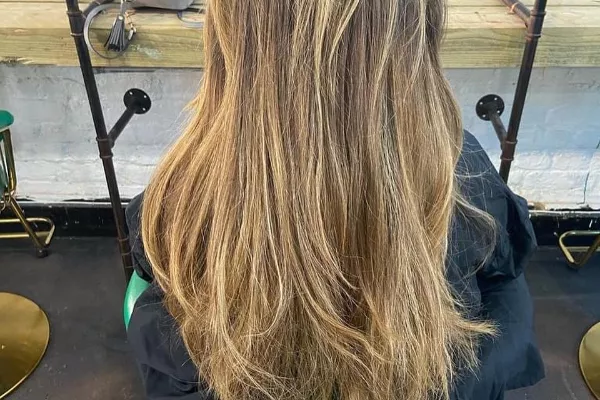 Metamorph Haus Banner