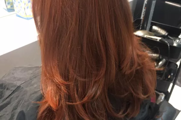 Pro Hair Belfast Gallery for Pro Hair Belfast