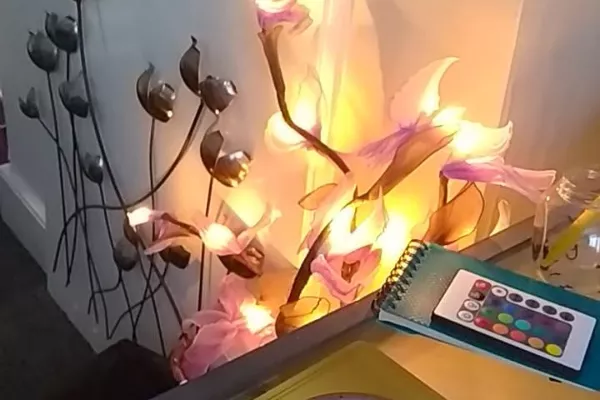 Calm Reflex Sanctuary c/o Renaissance Therapy Centre Banner