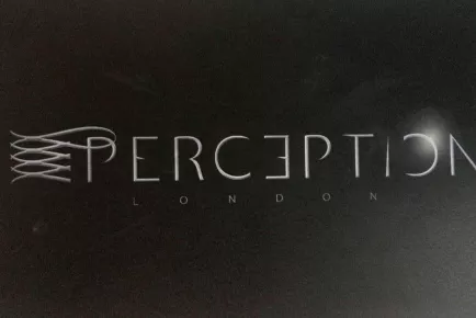 Perception London Hair First slide
