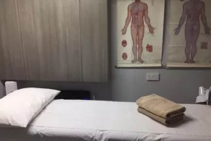 Shujuan Chinese Clinic